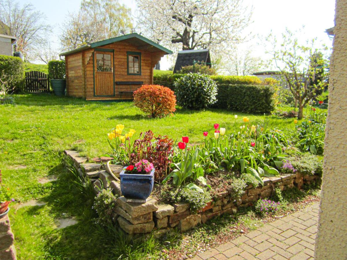 Colditz Ferienhaus Am Hainberg מראה חיצוני תמונה
